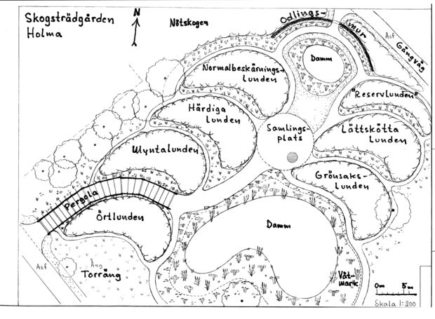 En skiss över skogsträdgården i Holma i Skåne.